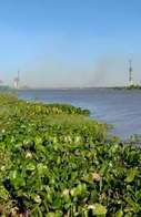 Fogo se alastra pelo Pantanal e chega &agrave; ponte de Rota Bioce&acirc;nica 