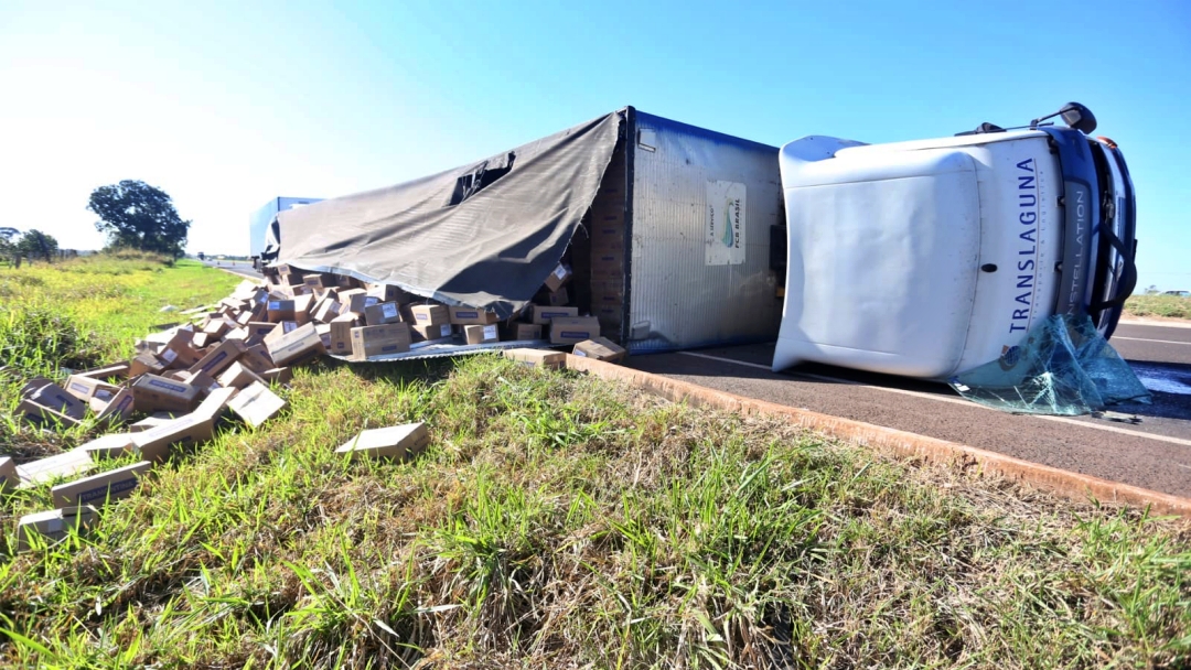 Caminhoneiro tomba ap&oacute;s atropelar tamandu&aacute; no anel vi&aacute;rio da Capital