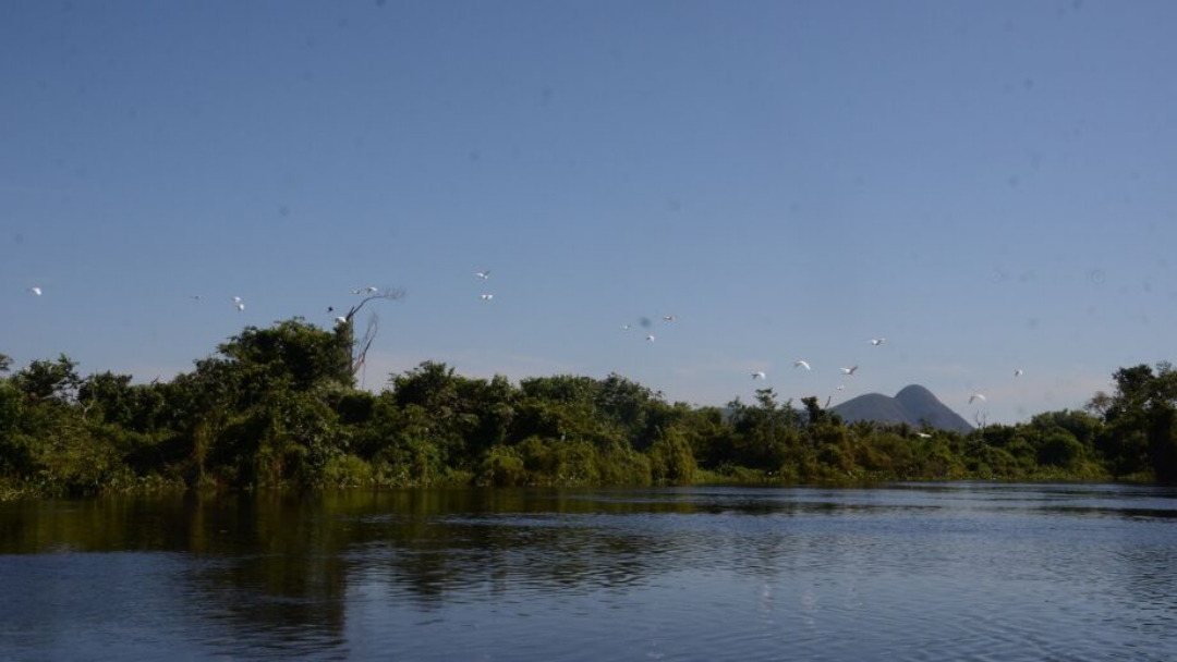 Fundo Pantanal deve come&ccedil;ar a pagar produtores por preserva&ccedil;&atilde;o em 2025