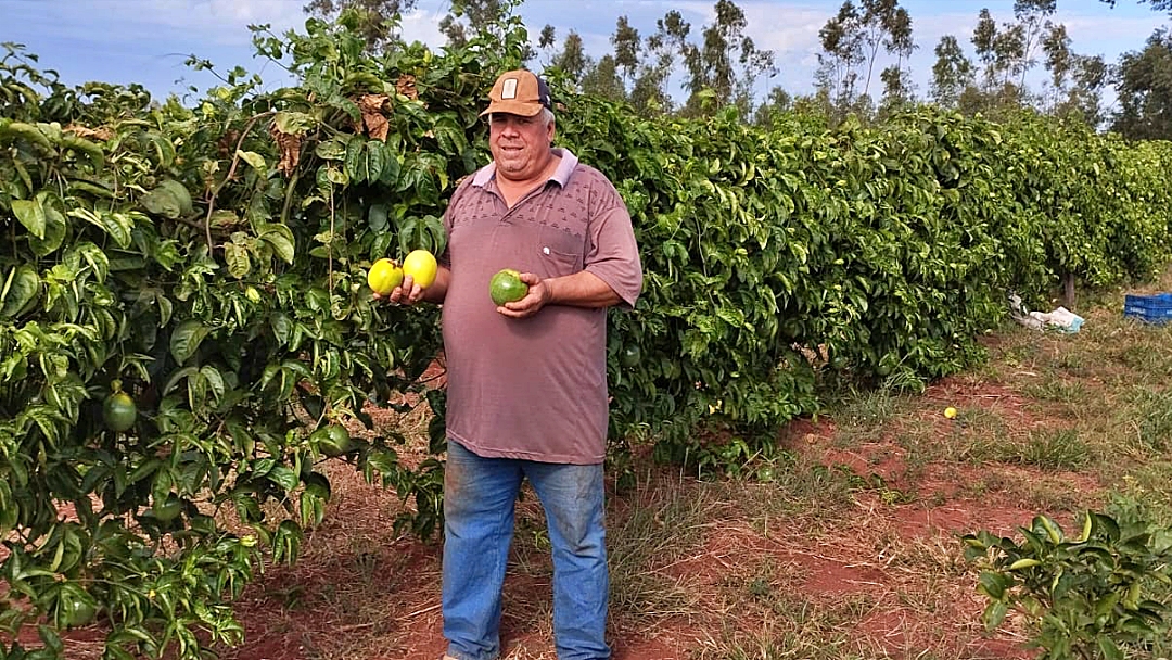 Educa&ccedil;&atilde;o prepara edital de compra da agricultura familiar para merenda