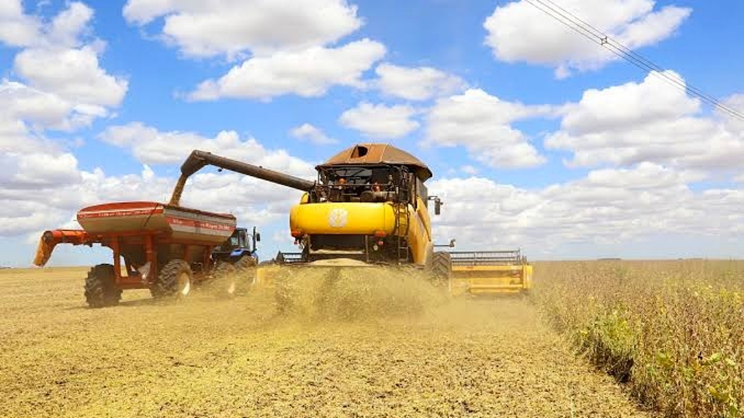 Queda de pre&ccedil;os agr&iacute;colas faz Governo prever para 2025 redu&ccedil;&atilde;o de 1,2% na receita  