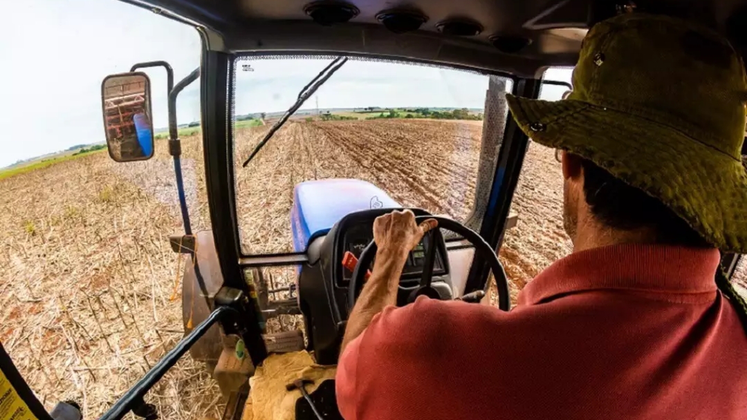 Para Embrapa, 43% das pequenas propriedades de MS se dedicam ao plantio de soja  