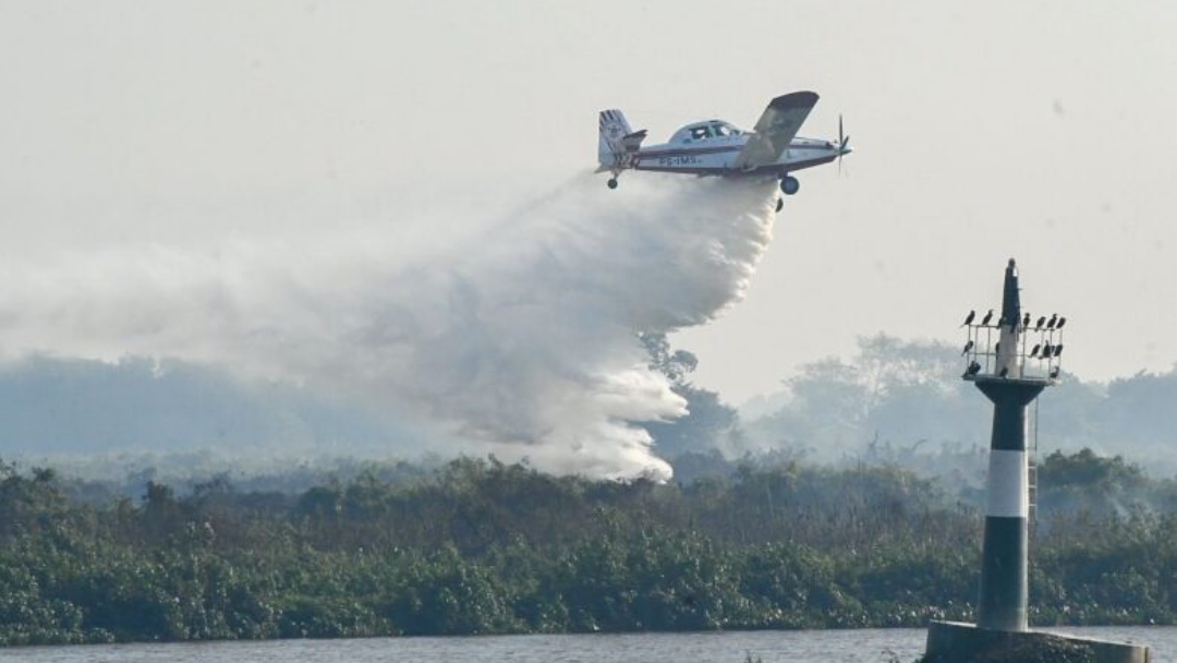 For&ccedil;a Nacional enviar&aacute; 80 agentes para ajudar no combate ao fogo no Pantanal