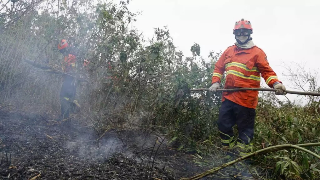 Uni&atilde;o reconhece emerg&ecirc;ncia por inc&ecirc;ndios em 12 cidades de MS  