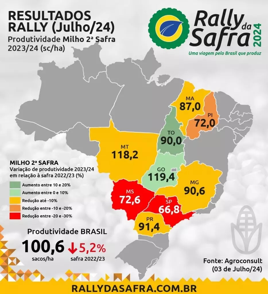 Colheita do milho em MS deve render 72,6 sacas por hectare, prev&ecirc; Rally da Safra 