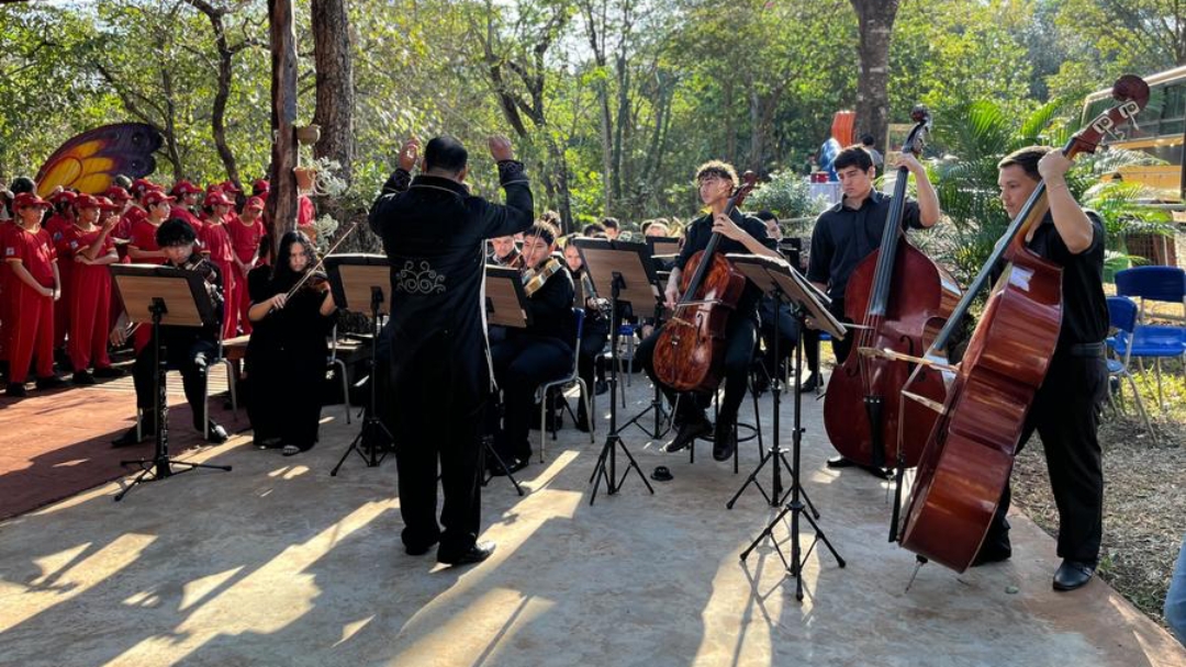 Sidrol&acirc;ndia agora tem um Jardim Bot&acirc;nico Municipal