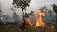 Um quarto da &aacute;rea queimada no Pantanal est&aacute; em regi&atilde;o protegida