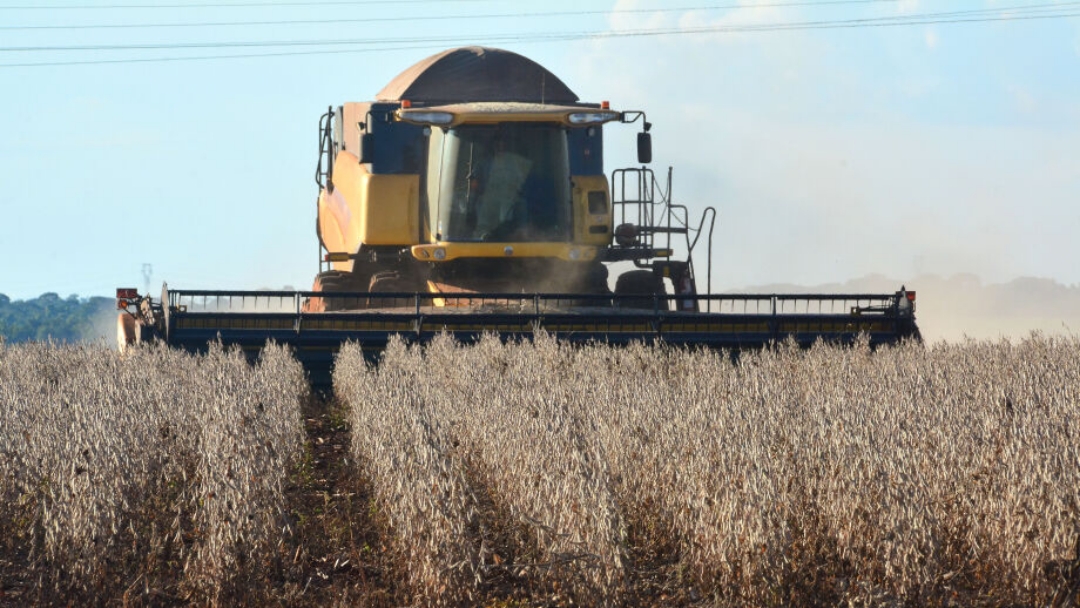 Mato Grosso do Sul tem potencial para dobrar a &aacute;rea plantada de soja em 5 anos