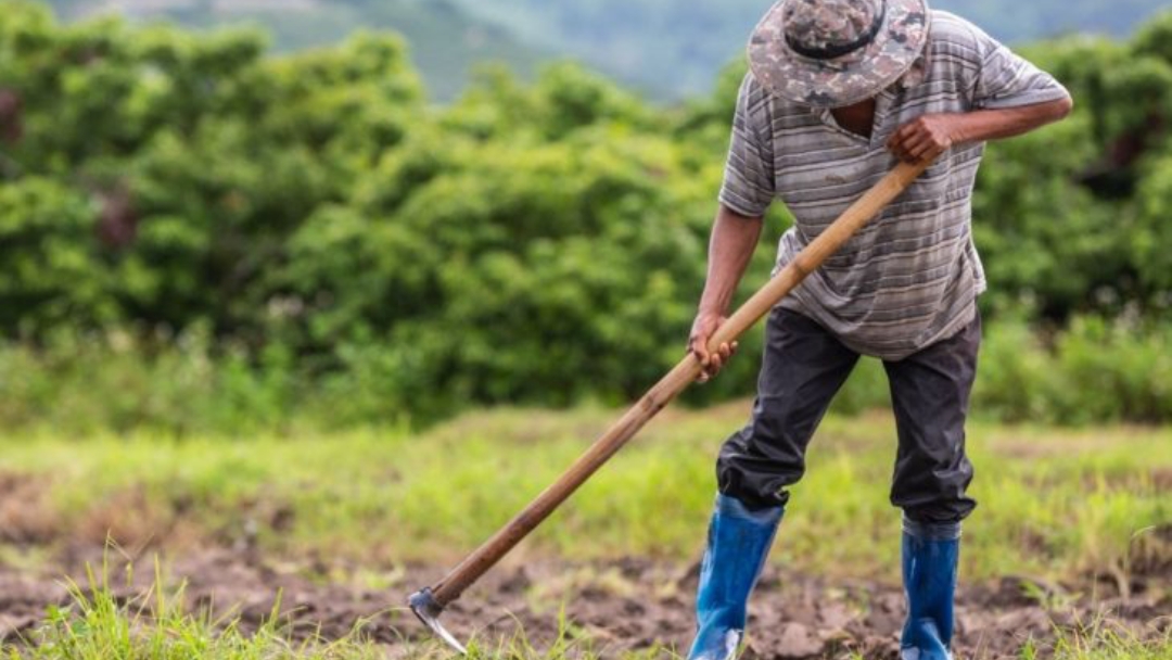 Investimento na agricultura familiar sobe 130% em edital de extens&atilde;o da Fundect