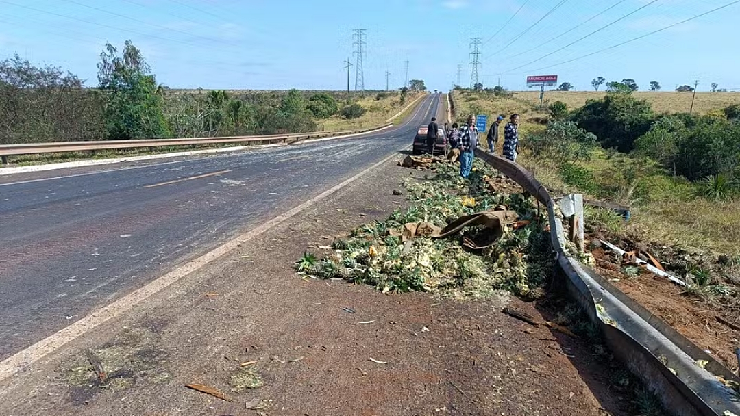 Motorista morre ao tentar desviar de vacas e capotar 