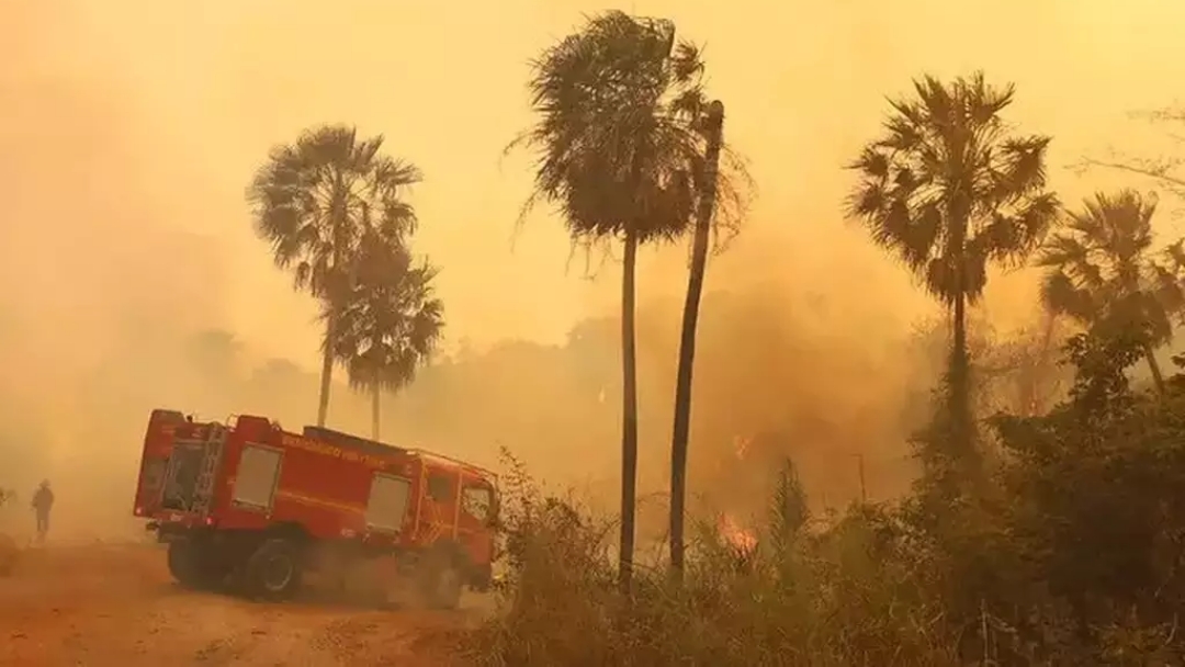 Pantanal de MS foi uma das regi&otilde;es mais quentes do planeta no m&ecirc;s de junho