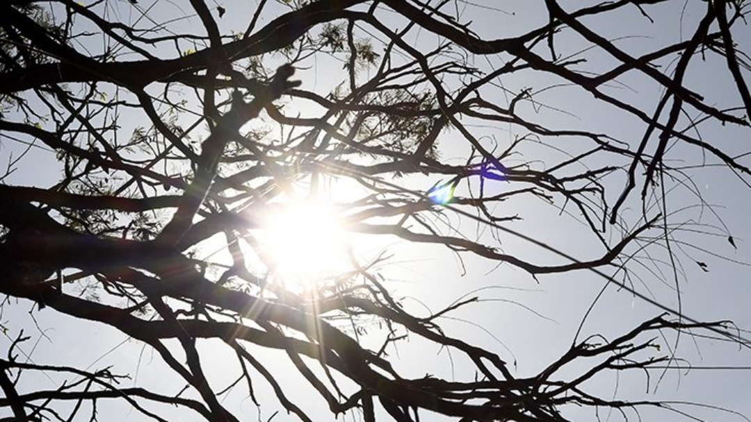 Semana termina com tempo est&aacute;vel e sol em MS