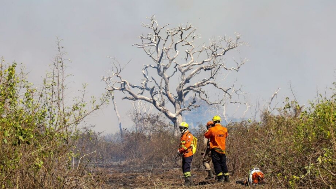 Fiscaliza&ccedil;&atilde;o da PF contra inc&ecirc;ndios no Pantanal seguir&aacute; at&eacute; o fim deste ano