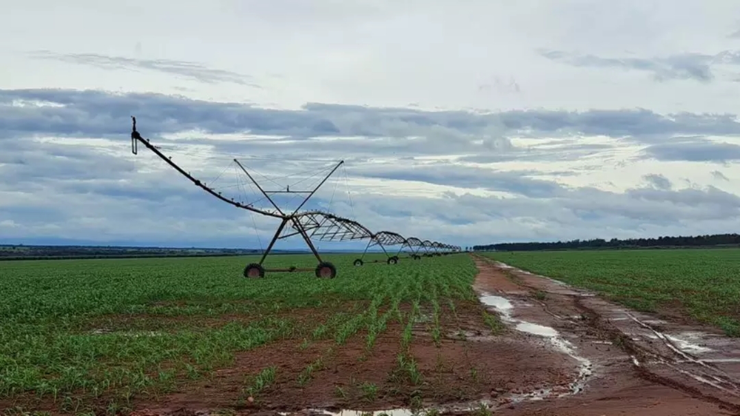 Governador participa de lan&ccedil;amento do MS Irriga nesta ter&ccedil;a-feira  