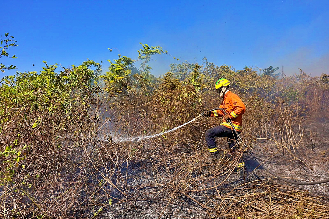 Com seis focos ativos, inc&ecirc;ndios no Pantanal s&atilde;o intensificados devido a condi&ccedil;&otilde;es clim&aacute;ticas extremas