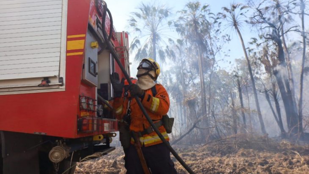 Com seis focos ativos, inc&ecirc;ndios no Pantanal s&atilde;o intensificados devido a condi&ccedil;&otilde;es clim&aacute;ticas extremas