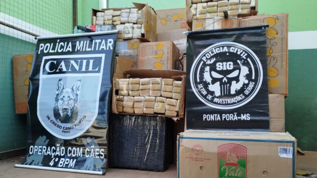 Pol&iacute;cia encontra entreposto com 2t de maconha na regi&atilde;o de fronteira