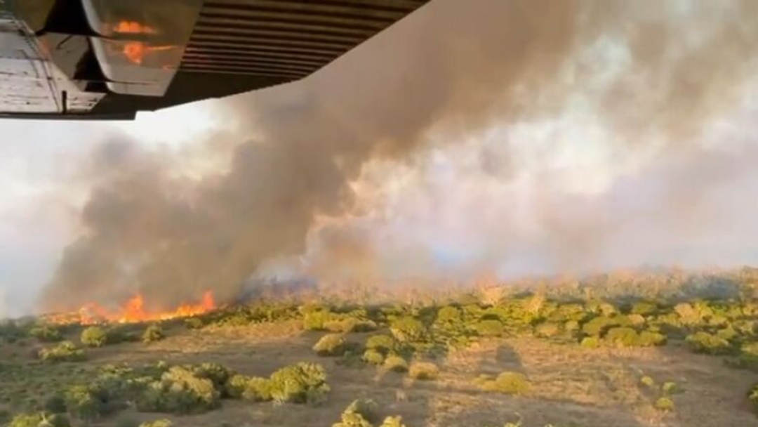 Explos&atilde;o de caminh&atilde;o causa inc&ecirc;ndio que j&aacute; dura dois dias no Pantanal