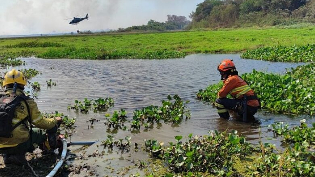 Inc&ecirc;ndios no Pantanal se agravam com calor e ventos fortes