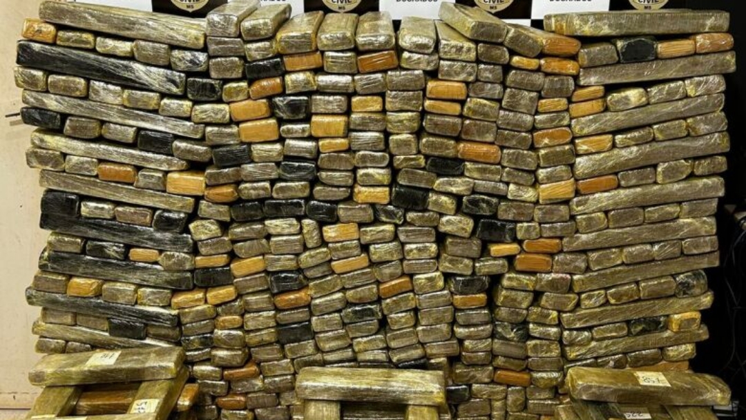 Dupla &eacute; presa com mais de 600 kg de maconha durante opera&ccedil;&atilde;o