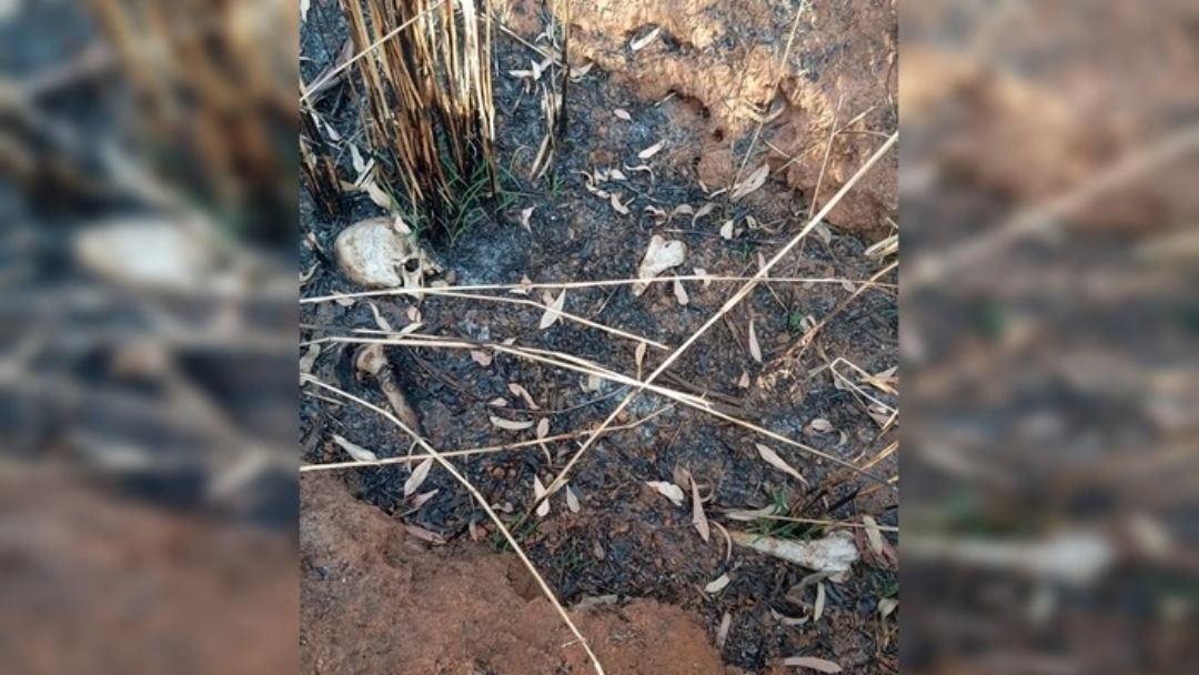 Ossadas humanas s&atilde;o encontradas em regi&otilde;es de mata no DF