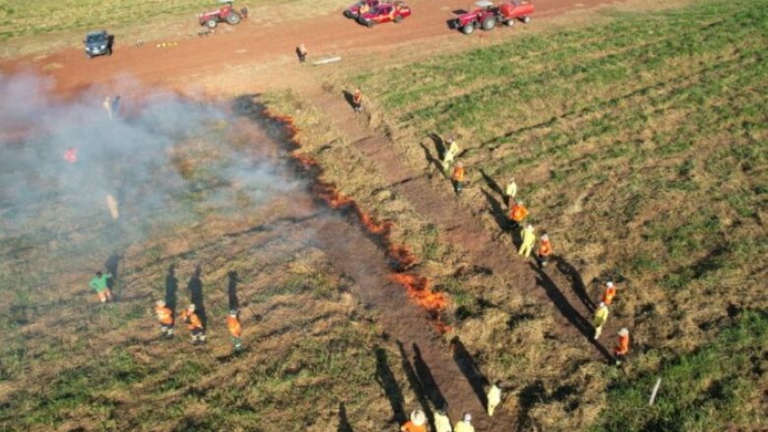 MS se destaca como pioneiro na implementa&ccedil;&atilde;o do Manejo do Fogo