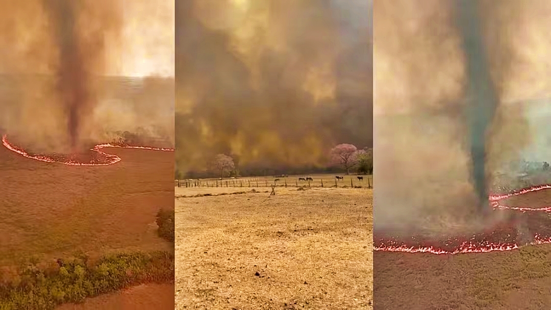 Redemoinho de fogo &eacute; registrado no Pantanal; inc&ecirc;ndios amea&ccedil;am on&ccedil;as