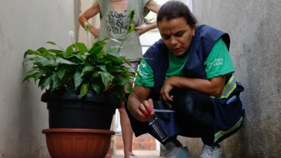 Brasil se aproxima de 5 mil mortes por dengue em 2024