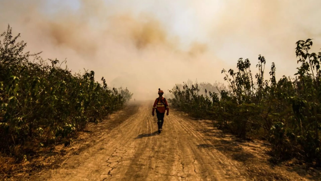 Mato Grosso do Sul volta a registrar focos de inc&ecirc;ndio ap&oacute;s tr&ecirc;s dias de tr&eacute;gua com chuva e frio