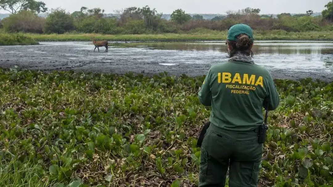 Governo e Ibama assinam acordo para encerrar greve