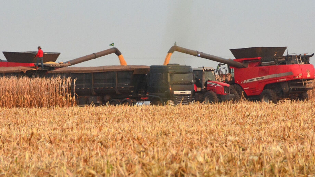 Falta de m&atilde;o de obra preocupa setor agropecu&aacute;rio de Mato Grosso do Sul