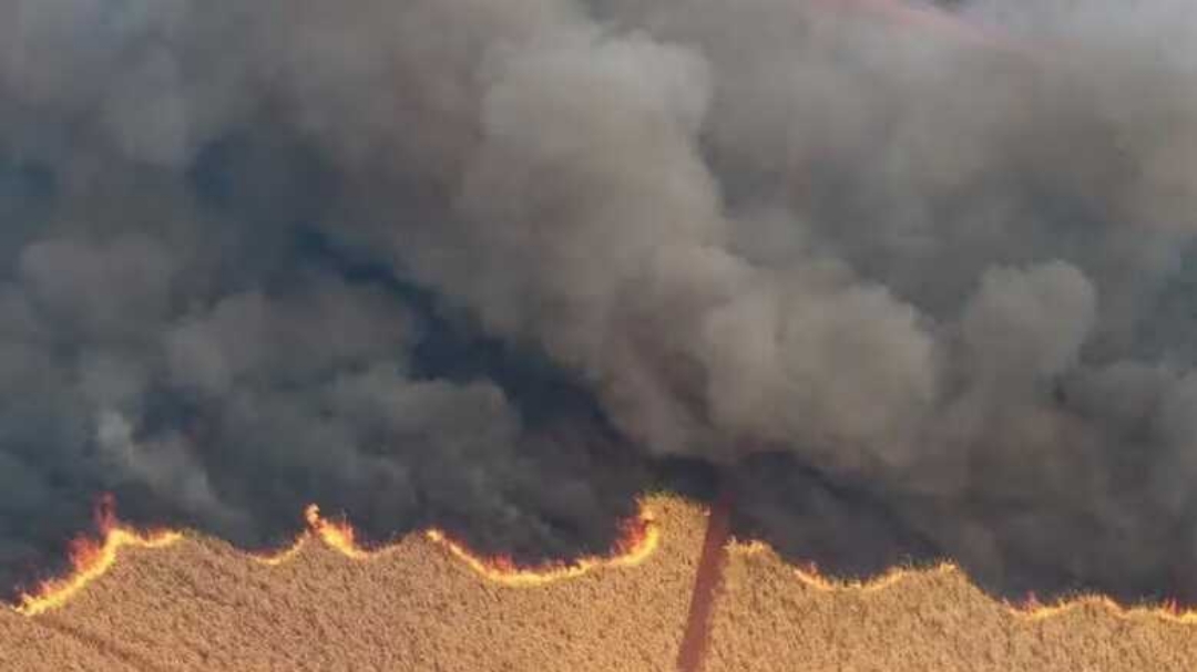 Brasil sofre com a pior seca em quatro d&eacute;cadas e enfrenta impactos severos