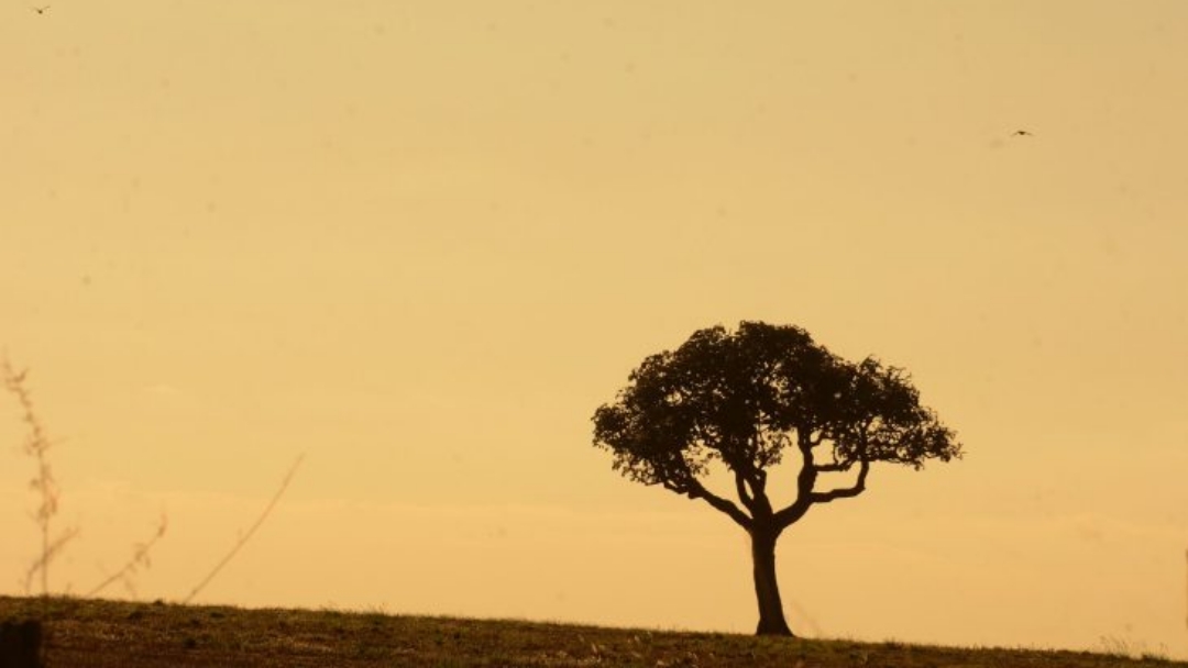 Chuvas abaixo da m&eacute;dia e altas temperaturas permanecem nos pr&oacute;ximos meses