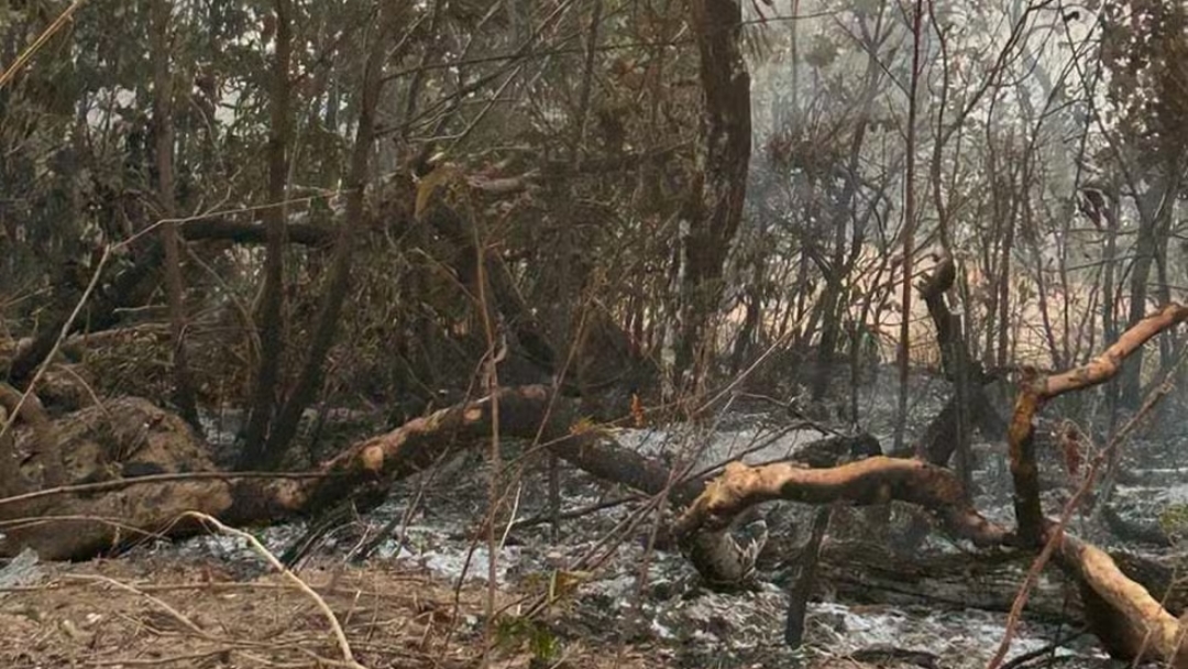 Governo federal reconhece situa&ccedil;&atilde;o de emerg&ecirc;ncia em Miranda