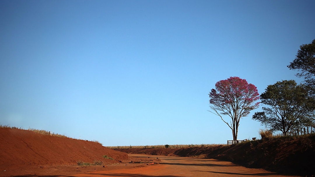 Com temperaturas acima da m&eacute;dia e baixa umidade do ar, tempo permanece est&aacute;vel