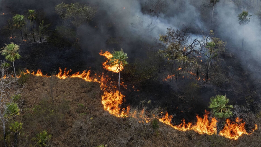 Ibama aplica multas de R$ 107 milh&otilde;es por inc&ecirc;ndio iniciado em ferrovia no pantanal