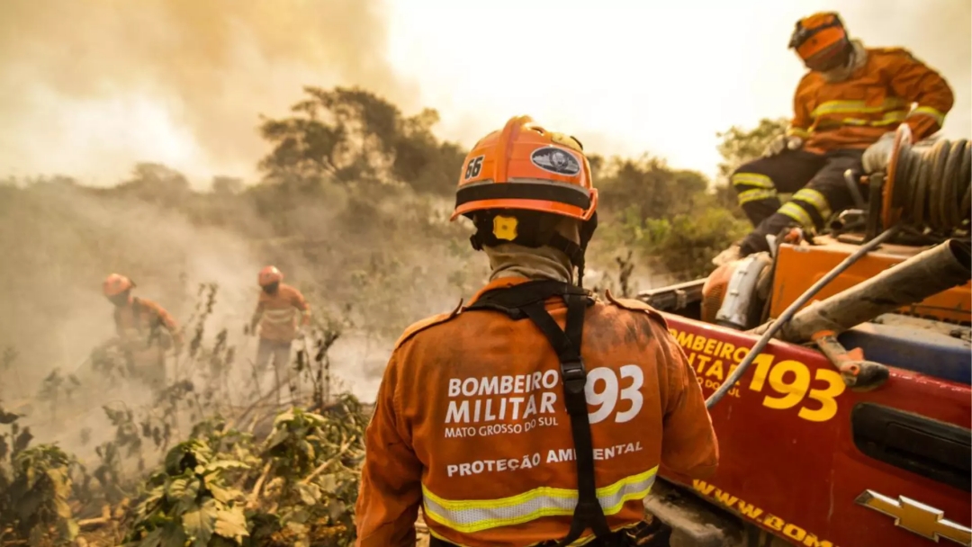 Com seca mais grave em 70 anos, Pantanal tem mais de 2 milh&otilde;es de hectares queimados