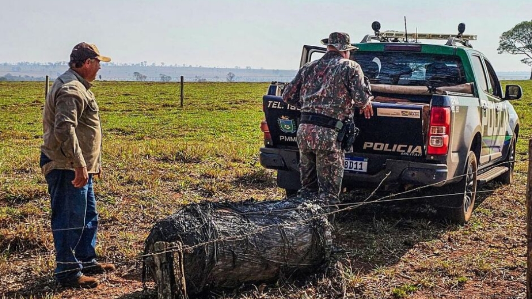 Objeto misterioso cai do c&eacute;u em fazenda 