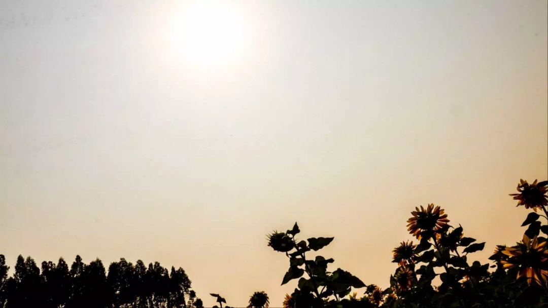 Coberto de fuma&ccedil;a, temperatura ameniza em Mato Grosso do Sul nesta quinta-feira