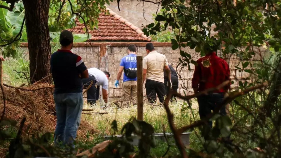 Dona de terreno encontra corpo de idoso durante limpeza