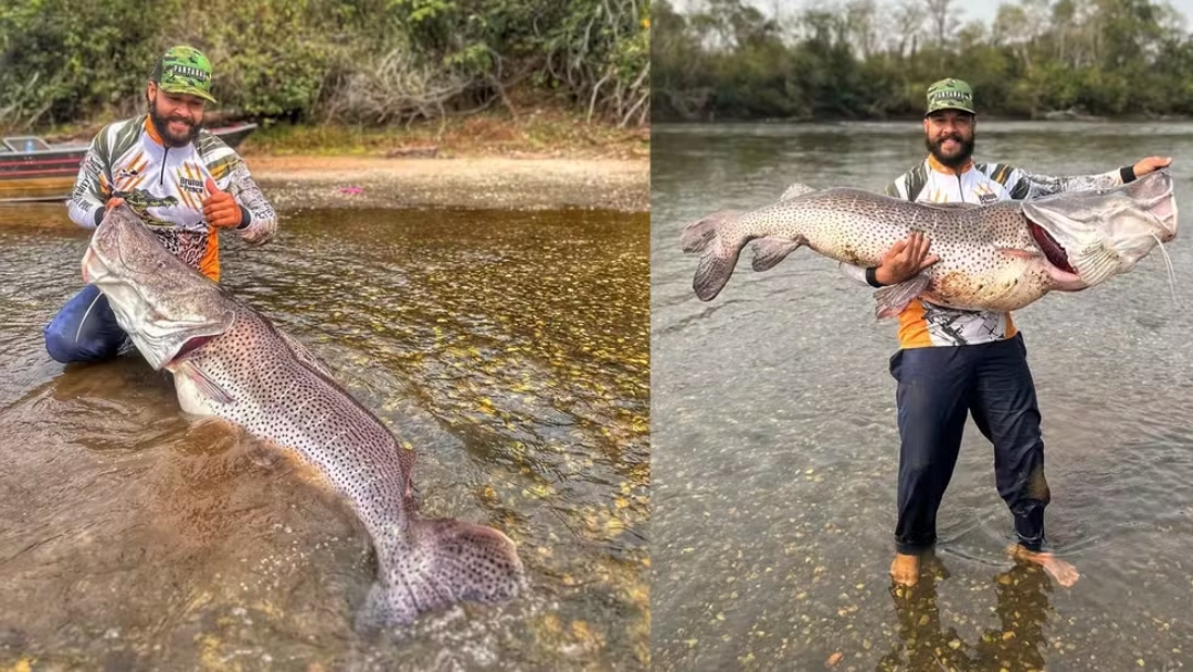 Pescador fisga pintado de 1,76m e bate recorde no Brasil: &#039;Peixe gigante, adrenalina louca&#039;