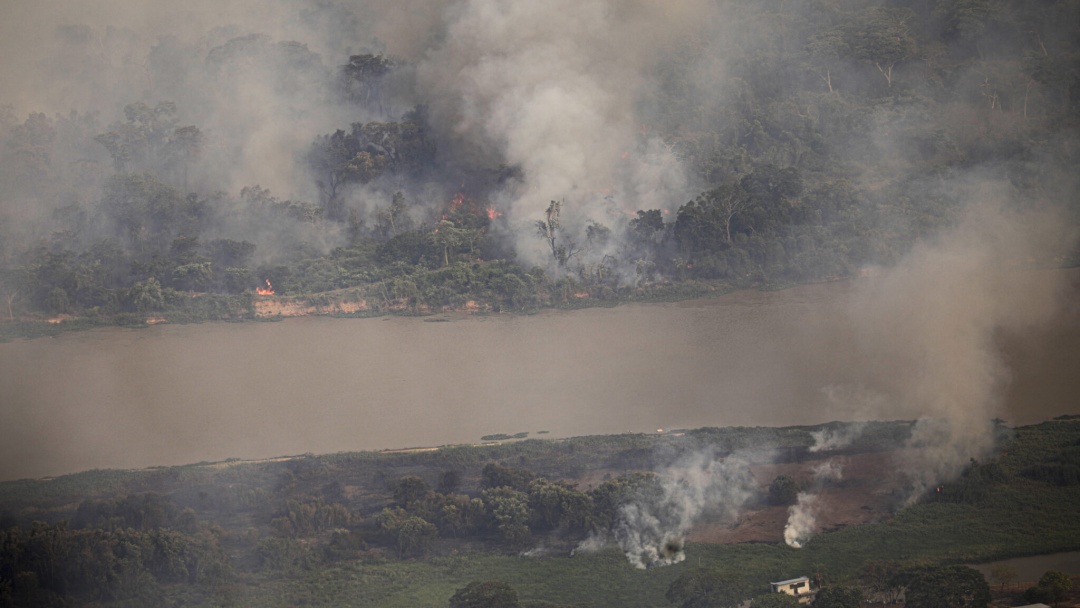 Pantanal cada vez mais quente e sem chuvas faz Rio Paraguai caminhar para maior seca 