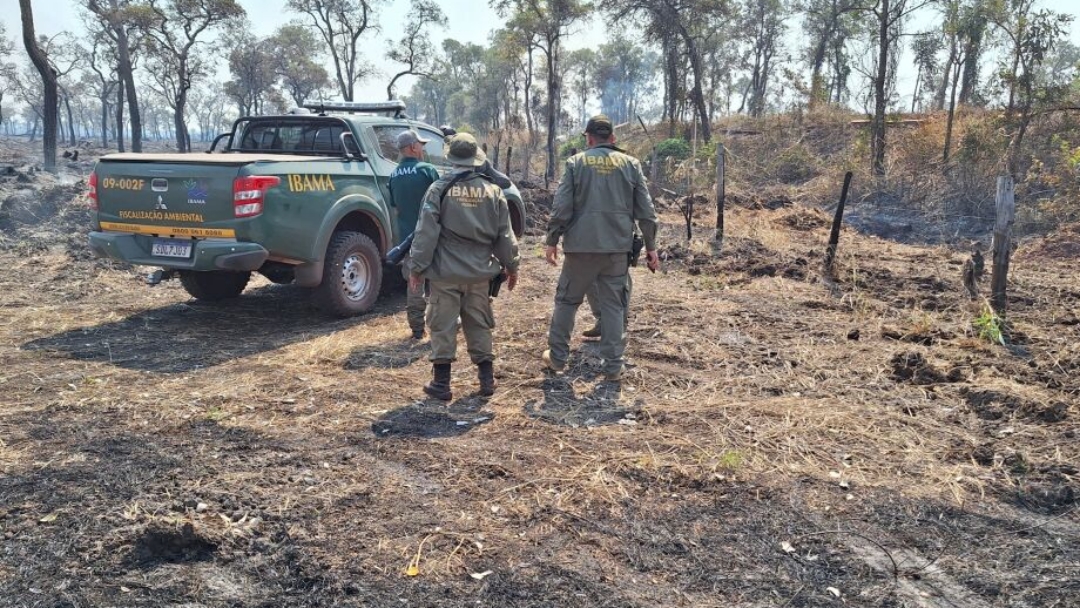 Pantanal tem recorde de multas ambientais em 4 anos