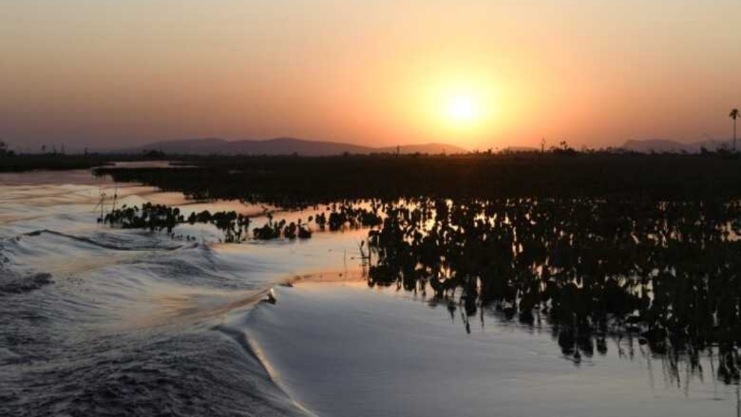 Calor&atilde;o judia dos sul-mato-grossenses e m&aacute;ximas ficam em 40&deg;C nesta quarta