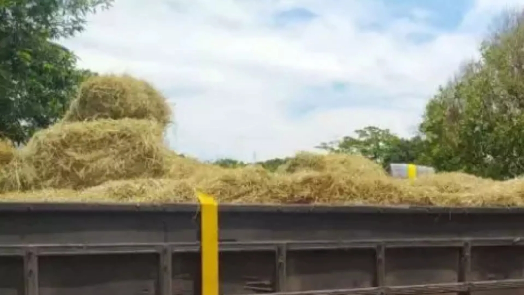 Idoso &eacute; atingido por fardo de feno de 200 kg em fazenda e morre