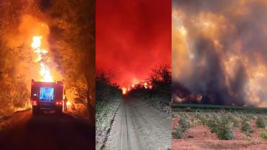  Mato Grosso do Sul tem 40% das cidades com focos de inc&ecirc;ndios