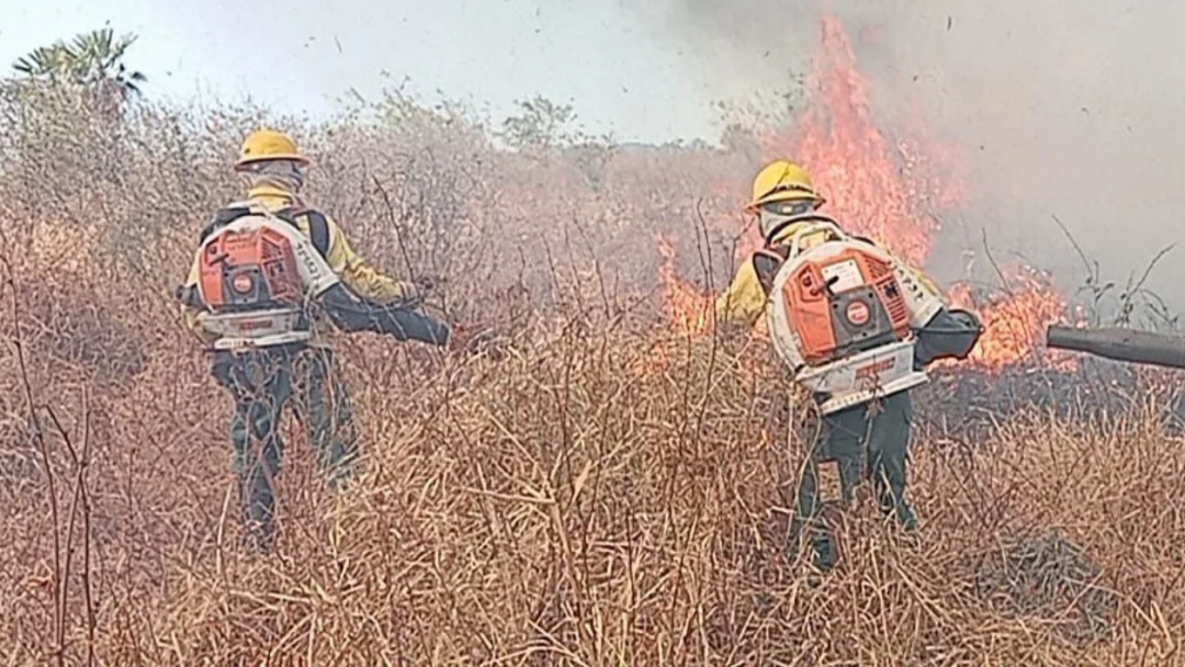 Mato Grosso do Sul tem 40% das cidades atingidas por inc&ecirc;ndios