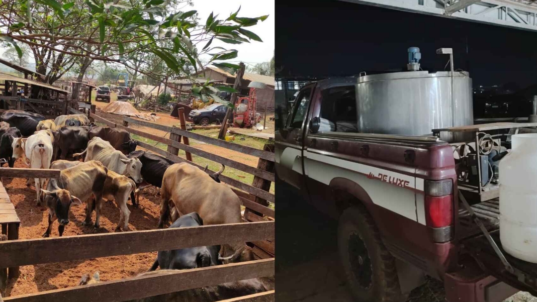 Homem &eacute; preso por furtar R$ 130 mil em cabe&ccedil;as de gado, caminhonete e equipamentos de fazenda