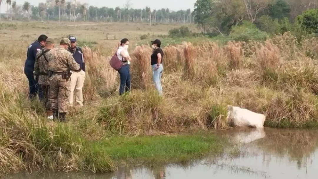 Mulher &eacute; morta a facadas e encontrada dentro de saco 