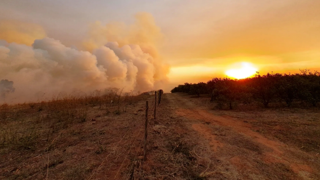 Brasil registra quase 1.800 focos de inc&ecirc;ndio nas &uacute;ltimas 24 horas